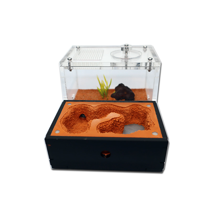 Dış Su Kulesi ve Çöp Alanı ile - Begonia Rex incelemesi ve fiyatı