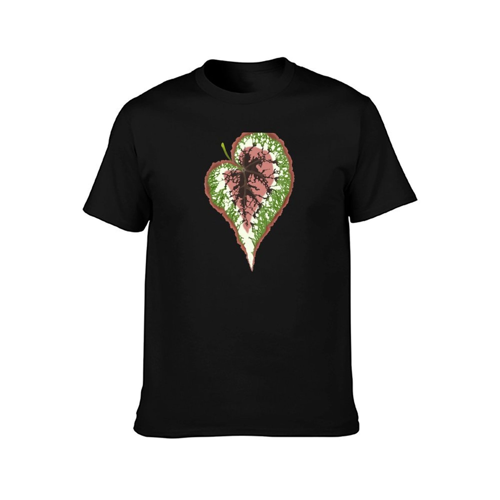 Begonia Rex Tişört Basit Sade  - Begonia Rex incelemesi ve fiyatı