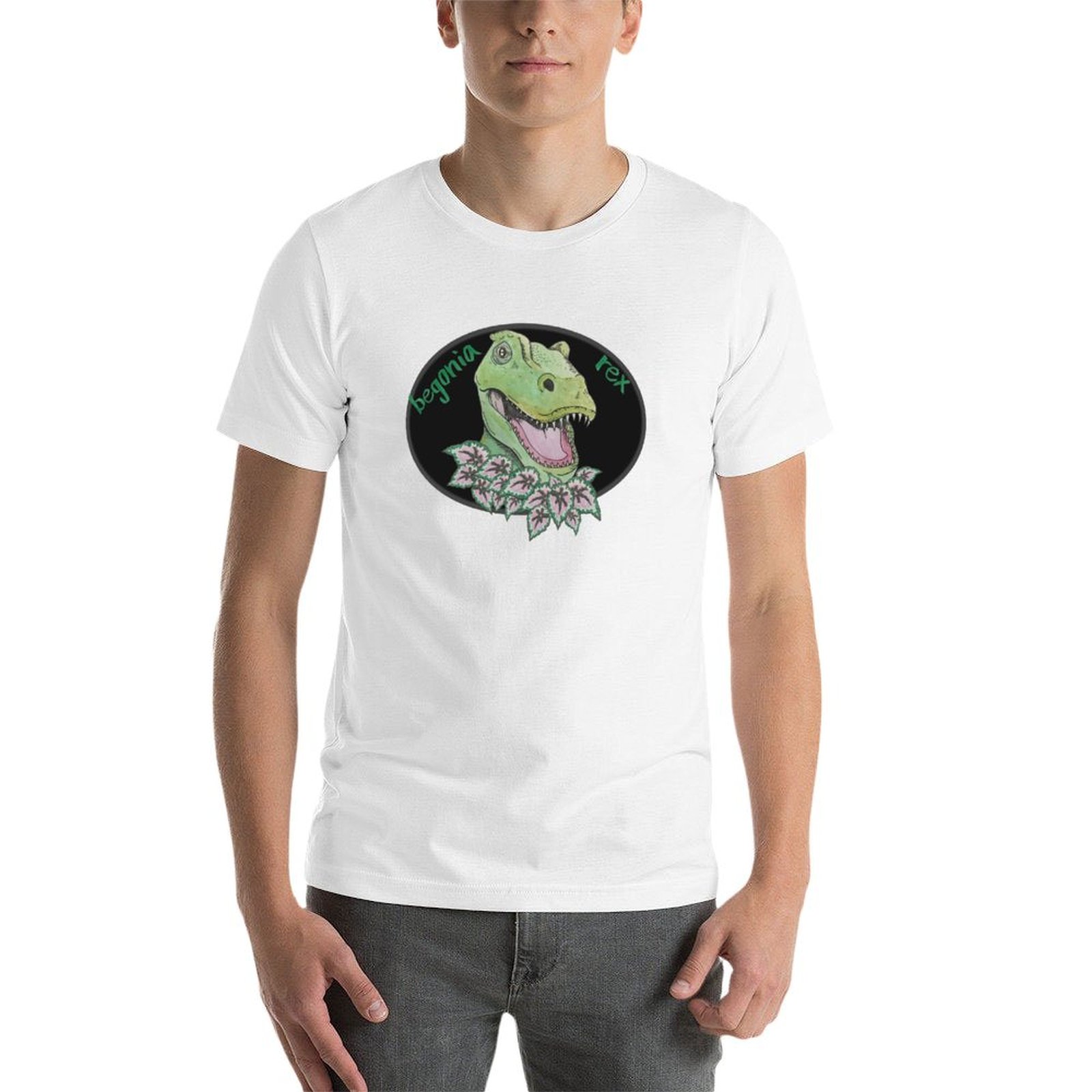 T rex begonya günlük kullanım  - Begonia Rex incelemesi ve fiyatı